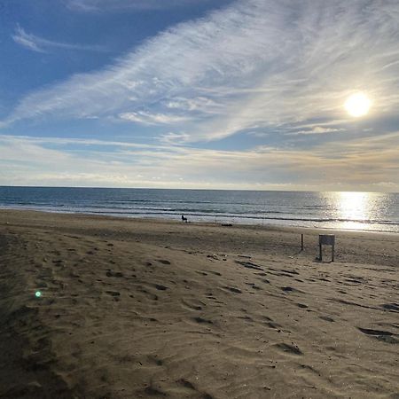 Appartamento Vista Mare A Marina Di Ardea L'Americano Dış mekan fotoğraf